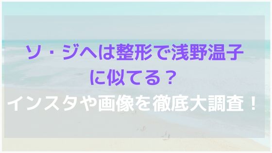 ソ ジヘは整形で浅野温子に似てる インスタや画像を徹底大調査 オシャレlog