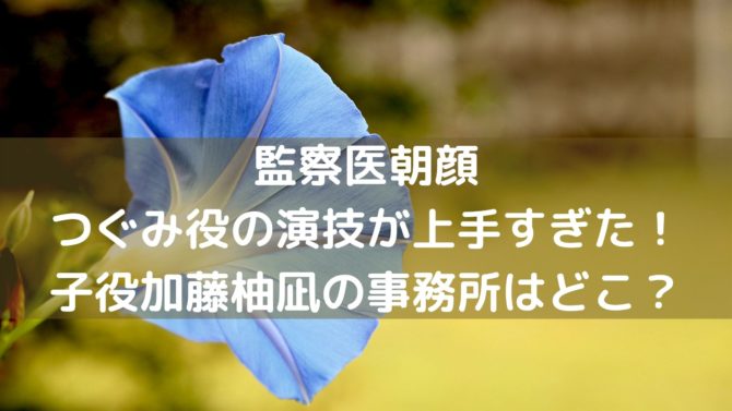 監察医朝顔つぐみ役の演技が上手すぎた 子役加藤柚凪の事務所はどこ オシャレlog